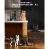 WiFi Automatic Cat Feeder for 2 Cats, Cordless Food Dispenser - 4 of 4