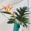 Plum & Post 31.5" Bird Of Paradise Faux (Fake) Stem - 2 of 2