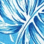 blue fern