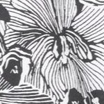 black white flower