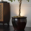 Pro Track Set of 4 Can Mini Uplighting Indoor Accent Spot-Lights Plug-In Floor Plant Home Decorative Art Desk Picture Table Silver Finish 6 1/2" High - 3 of 4