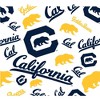 NCAA Cal Golden Bears Tervis All Over Venture Water Bottle - 24oz: Flip-Top Lid - 2 of 4