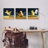Stupell Industries Funny Yoga Chick Trio Farm Birds Stretching Poses 3pc Framed Giclee Art Set, White, 17" x 17" - 2 of 4