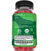 Sunergetic Certified Organic Probiotic Gummies – Daily Probiotic Gummies to Help Support Digestion, Gut Health & Immune System – 5 Billion CFU - image 3 of 3