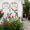 Syemin Patio Decorative Screens, Iron Arch Decoration Garden Trellis, for Outdoor for Climbing Plants Support, Flowerbed, Brown, 40"*19.7"*71" - 4 of 4