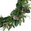 Northlight Mixed Foliage and Whitewashed Pinecones Artificial Christmas Wreath - 28" - Unlit - 4 of 4