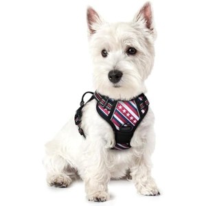rabbitgoo Dog Harness No Pull with 2 Leash Clips, Control Handle for Large Dogs, Red Stripe, XS - 1 of 1