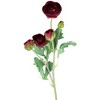Northlight Real Touch™ Red Ranunculus Artificial Floral Sprays, Set of 6 - 21" - 3 of 4