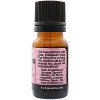 Plantlife Cardamom Aromatherapy Essential Oil – 100% Pure, Therapeutic Grade, No Additives or Fillers, 10 ml - 2 of 2