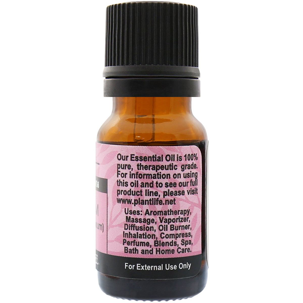 Plantlife Cardamom Aromatherapy Essential Oil – 100% Pure, Therapeutic Grade, No Additives or Fillers, 10 ml - thumbnail 2