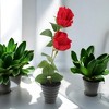 Unique Bargains Artificial Plants Two-Headed Rose Bonsai Plastic 2.36"x2.36"x10.63" 1 Pcs - 2 of 4