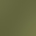poplin fabric - olive solid