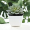Unique Bargains Artificial Plants Plastic Green 2.2"x2.2"x2.56" 1 Pcs - 2 of 4