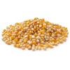 Pleasant Grove Farms Organic Yellow Popcorn - 25 lb - image 2 of 3