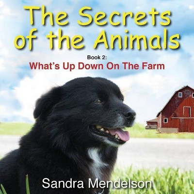 The Secrets of The Animals - (Secrets of the Animals) by  Sandra Mendelson (Paperback)