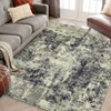Area Rug with Rubber Backing Machine Washable Rug Modern Abstract Low Pile Rugs Foldable Stain Resistant Indoor Carpet for Living Room Bedroom - 2 of 4