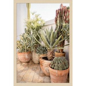 Amanti Art Patio Garden with Potted Succulents by Henrike Schenk Wood Framed Wall Art Print - 1 of 4