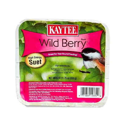KAYTEE Wild Berry Suet Bird and Wildlife Food - 12ct