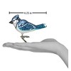 Old World Christmas 3.0 Inch Bright Blue Jay Ornament Clip On Wildlife Bird Tree Ornaments - 2 of 3