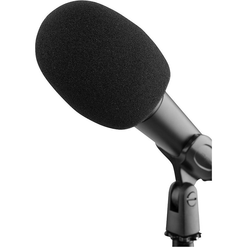 Proline PLWS1 Microphone Windscreen Single windscreen Black, 1 of 3