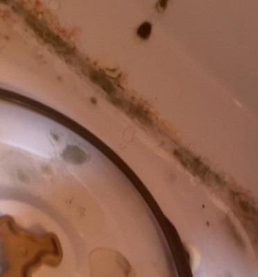 Guest review image 1 of 3, zoom in