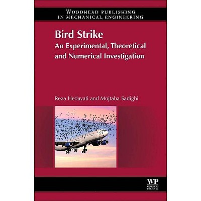 Bird Strike - by  Reza Hedayati & Mojtaba Sadighi (Hardcover)