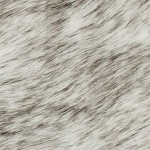 gradient gray