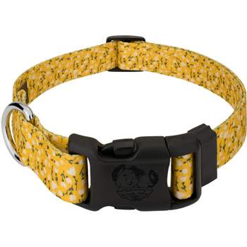 Country Brook Petz Deluxe Brisk Autumn Dog Collar - Made in The U.S.A. (5/8  Inch, Small)