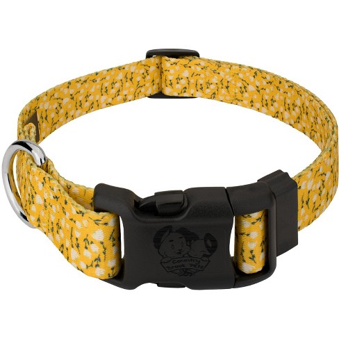 Extra extra best sale small dog collars