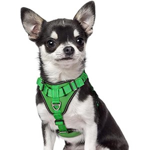 rabbitgoo Dog Harness, No Pull Dog Vest Harnesses with Bungee Handle & 2 Metal Clips, Belly Adjustable, Soft Padded for Large Medium Small Dogs - 1 of 1