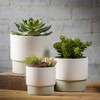 Sullivans 4.25", 5.25" & 6" Ceramic Rimmed Two-Toned Pots Set of 3, Multicolored - 3 of 4