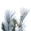 Vickerman Artificial 9' Flocked Jackson Pine Garland - 2 of 4