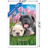 Trends International Keith Kimberlin - Bulldog Puppies Framed Wall Poster Prints - 3 of 4