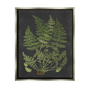 Stupell Industries Botanical Drawing Green Black Design - 1 of 4