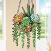 Collections Etc Hanging Colorful Faux Succulents in Rattan Basket - 2 of 2