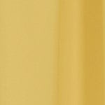yolk yellow