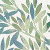 Eucalyptus