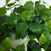Nearly Natural 24-in UV Resistant Artificial Philodendron with 50 Warm White LED Lights in White Hanging Basket (Indoor/Outdoor) - 3 of 3