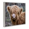 Stupell Industries Baby Cattle Licking Lips, 30" x 24" - 3 of 4