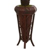 4ft Cycas Artificial Tree In Decorative Stand - Nearly Natural: UV-Resistant, No Assembly, Indoor/Outdoor Use - image 3 of 3