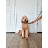 Midlee 4 Foot Dog Kennel Slip Lead Heavy Duty Nylon Pack of 10 - 2 of 4