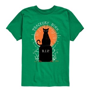 Boys' - Hocus Pocus - Binx Graveyard -Toddler and Youth Short Sleeve Graphic T-Shirt Short Sleeve Graphic T-Shirt - 1 of 4