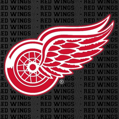 detroit red wings