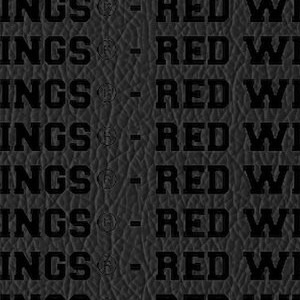 detroit red wings