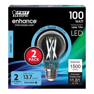 Feit Electric A19 E26 (Medium) Filament LED Bulb Daylight 100 Watt Equivalence 2 pk - 1 of 1