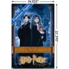 Trends International Harry Potter and the Philosopher's Stone - Ron & Hermione Unframed Wall Poster Prints - 3 of 4