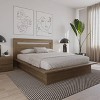 Nexera Queen Malibu Headboard Brown Oak: Modern Style, 42.75" Height, Wood Composite, No Box Spring Needed - 4 of 4