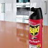 Raid Ant and Roach Killer Lemon Scent - 17.5oz - image 2 of 4