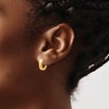 Black Bow Jewelry Small 3.5 x 12.5mm 14k Yellow Gold Brushed & Diamond-Cut Hinged Hoops - 3 of 4