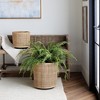 Plum & Post Lyla Dry Basket Planters Set of 2 - 2 of 4